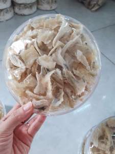 Yến sào cao cấp- Chân tổ yến sào