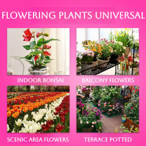 Rapid Blooming Essence/Flowering Booster Plant Nutrient/Easy Use For Home Gardeners/Quick Flowering Support For Indoor Outdoor Plants