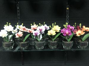 กล้วยไม้จิ๋วในแจกัน แจกันดอกไม้ปลอมจิ๋ว: ขนาดเล็ก