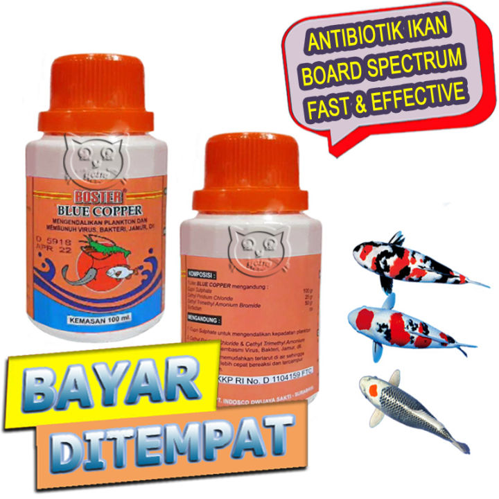 Blue Copper Boster Obat Anti Bakteri Virus Jamur Ikan Lele Nila Bawal