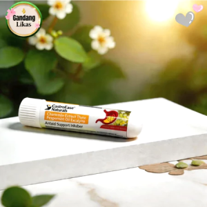 [BUY 1 TAKE 1] Antacid Support Inhaler - GastoEase Naturals