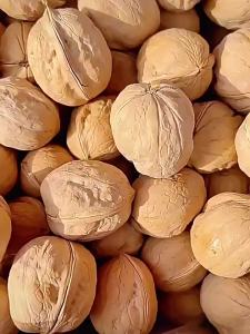 Xinjiang thin-shelled walnuts 2024 New product: thin-skinned black walnuts original flavor roasted fresh and suitable for students