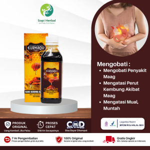 Obat Infeksi Lambung Obat Maag Kronis Asam Lambung Radang Lambung Tukak Lambung Sakit Lambung - Sari Kurma Kurmaqu