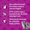 WHISKAS - Wet Cat Food for Kitten (2-12 month) in Chicken Mousse Flavour, 80g. 