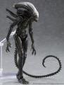 Model โมเดล Figma ฟิกม่า Figure Action จากหนังดัง Aliens VS Predator เอเลียน ปะทะ พรีเดเตอร์ Takeya Takayuki Alien ฝูงมฤตยูนอกโลก Ver แอ็คชั่น ฟิกเกอร์ Anime อนิเมะ การ์ตูน มังงะ ของขวัญ Gift จากการ์ตูนดังญี่ปุ่น สามารถขยับได้ Doll ตุ๊กตา manga. 