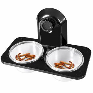 SEEDING Dual Purpose Reptile Feeder Bowl BPA Free Plastic Gecko Feeding Ledge Durable Practical Spider Mealworm Bowl For Reptile