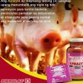 Apralyte Powder 6 grams for animals sold per sachet Apralyte Powder 6 grams apralyte powder for pig apralyte. 