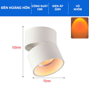 Đèn hoàng hôn ốp trần trang trí chiếu tranh ảnh cây cảnh phòng khách phòng ngủ điện 220v
