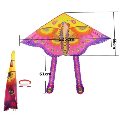 Easy to fly kites Various picture kites Eagle kites Fighter kites