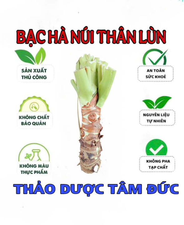 c%C3%A2y%20b%E1%BA%A1c%20h%C3%A0%20n%C3%BAi%20th%C3%A2n%20l%C3%B9n%20l%C3%A1%20kh%E1%BB%95ng%20l%E1%BB%93%20-%20Image%202