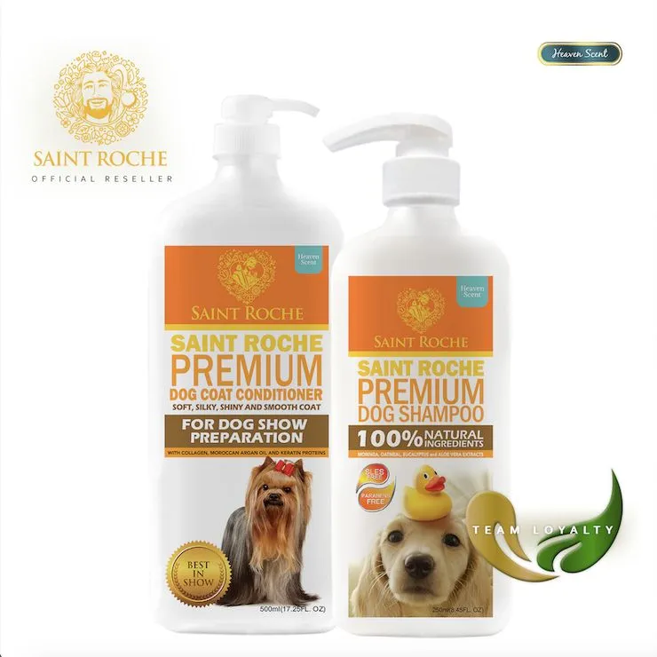 St roche 2025 dog conditioner