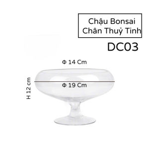 Chậu Thuỷ Tinh Nuôi Cá Trồng Cây Để Bàn Bonsai Chân DC03 - Bể Cá Thuỷ Tinh Đế Chân D14 Cm