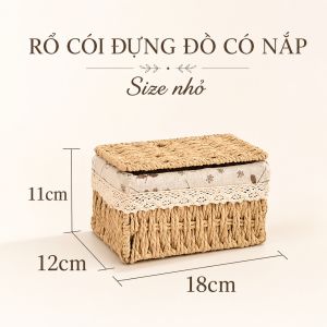 Giỏ Mây Có Nắp Đựng Đồ Đựng Mỹ Phẩm Đựng Đồ Ăn Vặt Để Bàn Decor Chụp Ảnh Sản Phẩm Lót Vải Vintage