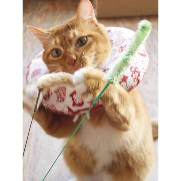 Foxtail cat toy best sale