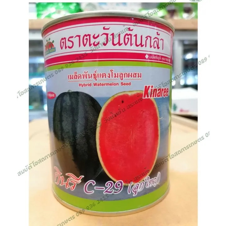 เมล็ดพันธุ์แตงโม กินรี C29 คุณภาพสูง เพิ่มผลผลิต