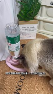 Aikenn Portable Bottle Cat Water Fountain Automatic Circulating Dispenser Anti Knock Over Suction Mounted Drinking Bowl