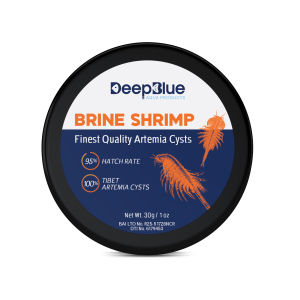 Deep Blue Brine Shrimp / Artemia Cysts Tibet Eggs Small Cans (30g 50g 100g)