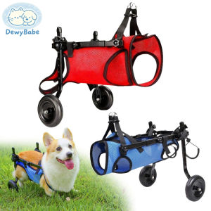 DewyBabe Pet Walking Assistance Wheelchair Adjustable Disabled Elderly Injured Dog Cat Rehabilitation Walk Booster