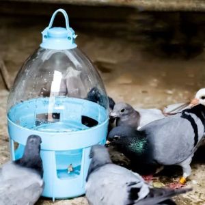 VSDGF Removable Automatic Bird Waterer Random Color Plastic Bird Feeder Durable Splash Proof Bird Accessorries For Conure