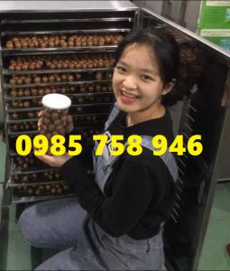 Máy xấy maca hoa quả. mứt 10khay tiện lợi