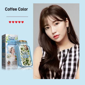 Natural Foam Hair Color Bubble Dye Botanical Gray Hair Covering Conditioning Bubble Multi-color Hair Dye Cream