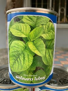 ผักโขมขาว ผักโขมน้อย ผักโหม บรรจุ 80 กรัม