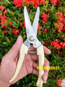 Kéo Tỉa Cây Cảnh Mũi Nhọn AOHO Cán Trắng Thép SK5 Không Rỉ Sắc Bén