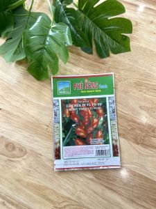 Hạt Giống Cà Chua Phú Nông Chịu Nhiệt Trái To Siêu Kháng Bệnh PN-209