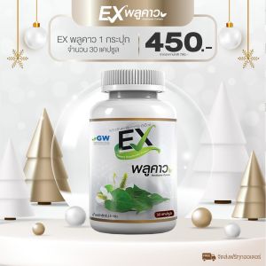 2แถม2 EX Plu Kaow อีเอ็กซ์ พลูคาว สมุนไพรพลูคาว ฟื้นฟูภูมิคุ้มกัน ภูมิคุ้มกันบกพร่อง พลูคาวสกัด สมุนไพรสกัด เสริมสร้างภูมิคุ้มกัน ต้านไวรัส พลูคาวสกัดสูตรเข้มข้น 1 กระปุก 30 แคปซูล