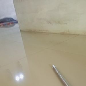 Joran Tongkat Lempar Ikan Telescopic: Pilihan Terbaik Untuk Pemula