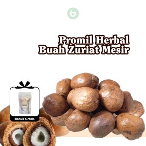 Buah Zuriat Mesir Promil Mesir Asli - Buah Langka Utuh Program Garis Dua Sehat Dan Aman Buah Zuriyat Ajaib