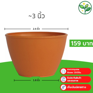 กระถาง กระถางต้นไม้ แคคตัส 2.5 นิ้ว สีอิฐ 100 ใบ ชิ้น อัน