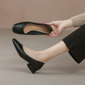 Free Shipping WomenS Shoes For Civil Servant Interviews 3Cm Low-Cut Black Work Shoes For Commuting Matching Formal Attire Professional Shoes Comfortable High Heels
