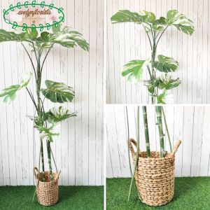 Pohon Plastik Artificial Monstera Variegata T170 & T190 Latex Pot Dasar Hitam Cover Eceng Gondok Handle Hiasan Ruangan Tamu