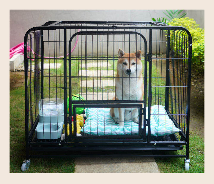 Huge sales dog kennel