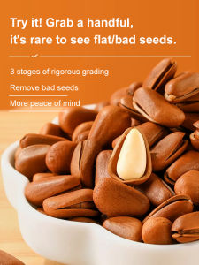 🎉Hot Sale 🎉Hand Peeled Pine Nuts Open Dried Fruit Snacks Nuts Pine Nuts Hand Cracked Pre Opened Large Kernel Pine Nuts Natural Raw Shelled Pine Seeds Healthy Snack For Cooking Baking Instant Pine Nuts Easy Peel Pine Nuts Snack