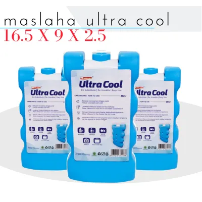 BLUE ICE PACK GEL - BLUE ICE LUNCH PACK - ICE PACK MURAH (16.5X9X2.5) PENGGANTI ES BATU MASLAHA LEKUK