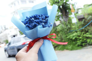 Bó Hoa Baby Nhiều Màu Mini – Quà Tặng Đáng Yêu