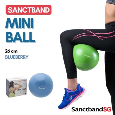 Sanctband Yoga Ball Pilates Ball Stability Exercise Ball Mini Ball Size 26cm Blueberry