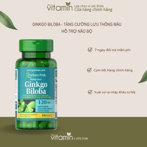 Viên Uống Ginkgo Biloba Giúp Tăng Cường Lưu Thông Máu Cải Thiện Trí Nhớ