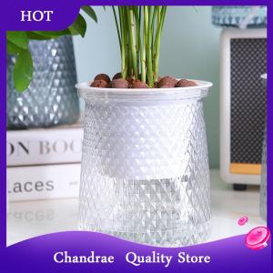 [Chandrae] Double-layer Self Watering Plant Pot Transparent Plastic Flower Vase Automatic Lazy Potted Flower Pot Hydroponic Flowerpot Decor