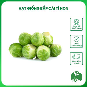 Hạt giống Bắp cải tí hon (Bắp cải Mini Brussels) - Gói 1gr trồng quanh năm