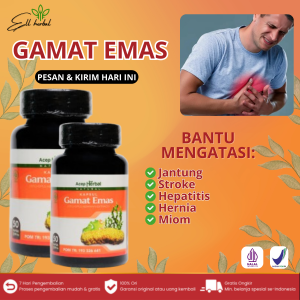 Obat JantungStroke Hepatitis Hernia Miom Atasi Dengan Kapsul Gamat Emas 100% AMAN