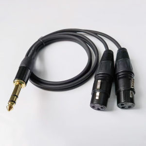 Dây Audio 6.5mm ra 2 Jack Canon Cái dài 1m