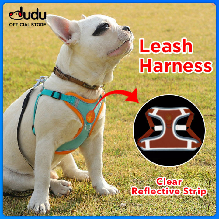 DUDU Pet Dog Harness,Puppy Harness and Leash Set for Walking Escape  Proof,Comfortable Air Mesh Dog Vest Harness with Reflective Strip, Step-in  Outdoor