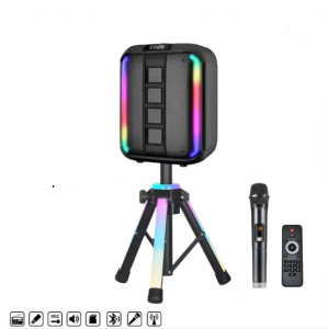 NDR-102A  12 inch Sound Systems Outdoor Speakers Professional Loudspeaker Booms Bass Speaker With Triangular Bracket an Wireless mic