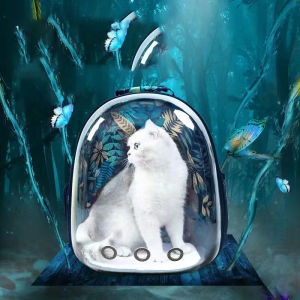 PET CAT CAPSULE TRANSPARENT BACKPACK CARRIER BAG/BAG GLASS KUCING