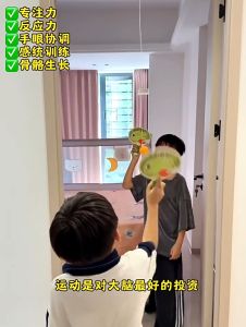 Ping Pong 悬挂式乒乓球训练器 Suspended Hanging Table Tennis Practice Toy 手眼协调训练反应球练习器 Swing Self Training