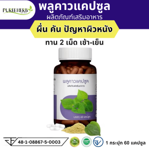อาหารเสริม ภูรีเฮิร์บ พลูคาว แคปซูล Puree Herb houttuynia cordata 1 ขวด 60 แคปซูล ผื่นคัน ผิวหนัง