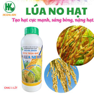 CHUYÊN DƯỠNG LÚA RA RỄ - NỞ BỤI RƯỚC ĐÒNG LÚA NO HẠT. BỘ DƯỠNG LÚA CHAI 1 LÍT